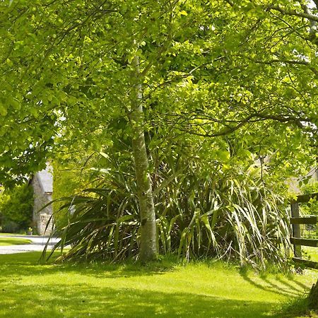 Courtyard Cottages Tralee Bilik gambar