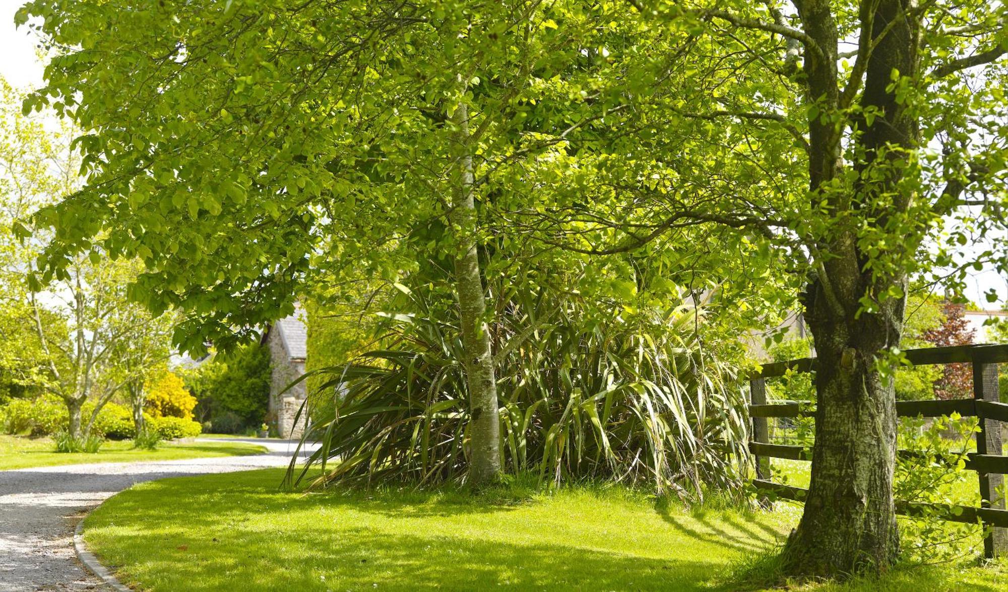 Courtyard Cottages Tralee Bilik gambar